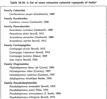 A list of some estuarine calanoid copepods of india