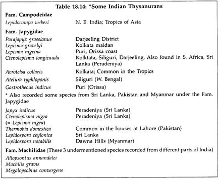 Some Indian Thysanurans