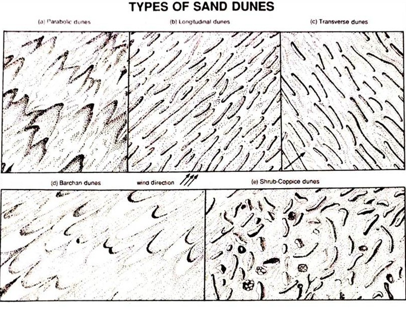 Types of Sand Dunes