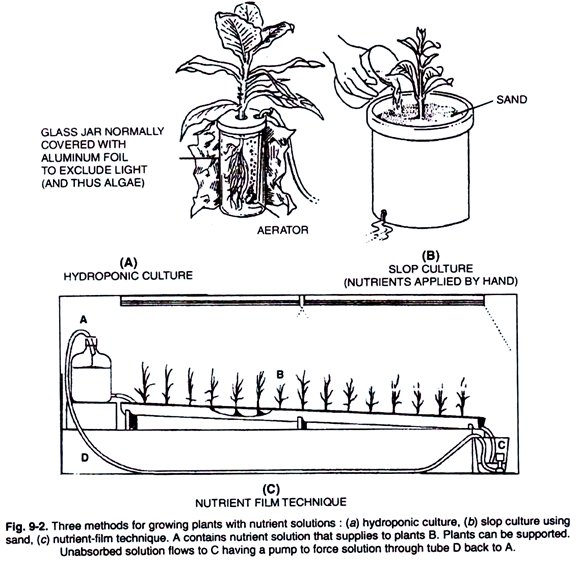 Three methods of growing plants with nutrient solutions