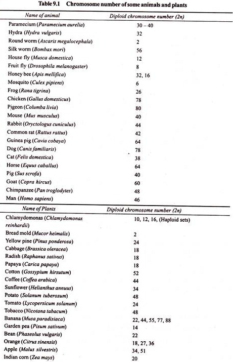 Chromosome Number of Some Animals and Plants