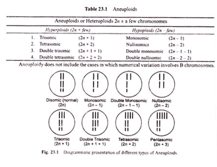 Aneuploids