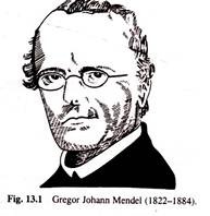 Gregor Johan Mendel