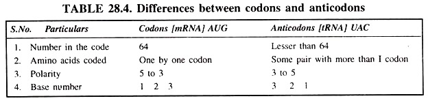 Differences between Codon and Anticodons