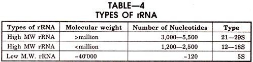 Types of rRNA