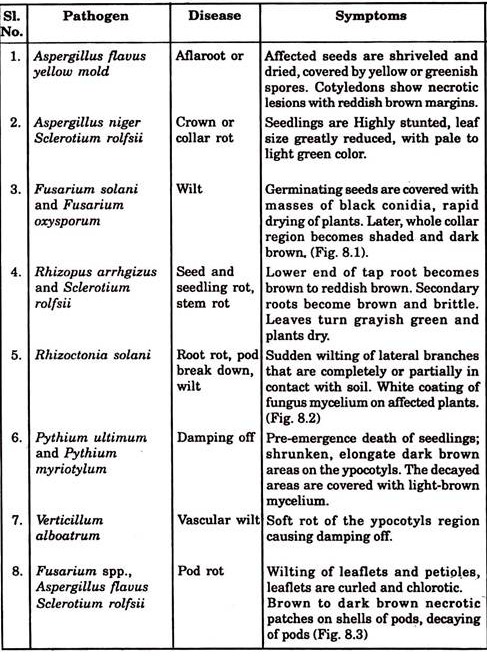 Important Fungi-Causing Seed Rots and Seeding Diseases and their Symptoms