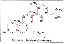 Structure of Cholesterol