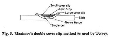 Maximov's Double Cover Slip Method