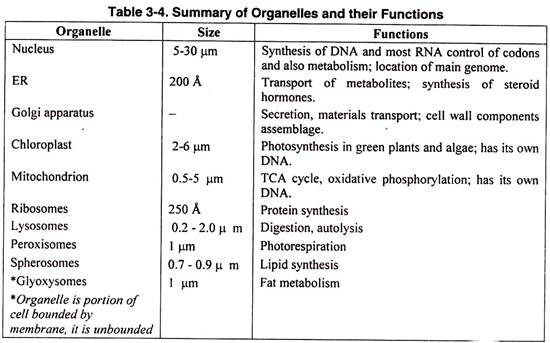 Summary of Organelles and their Functions