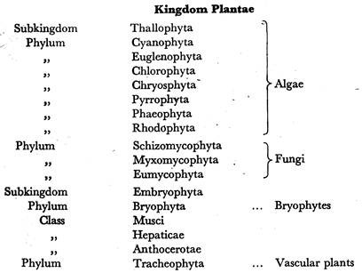 Kingdom Plantae