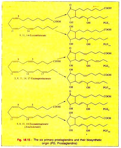 Six Primary Prostaglandins