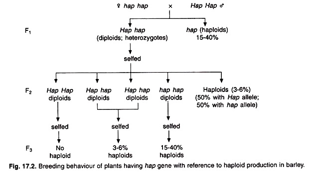 Breeding Behaviour of Plants