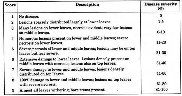 Description of groundnut rust scoring scale