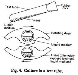 Culture in a Test Tube