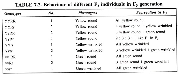 Behaviour of Different F2 Individuals in F3 Generation