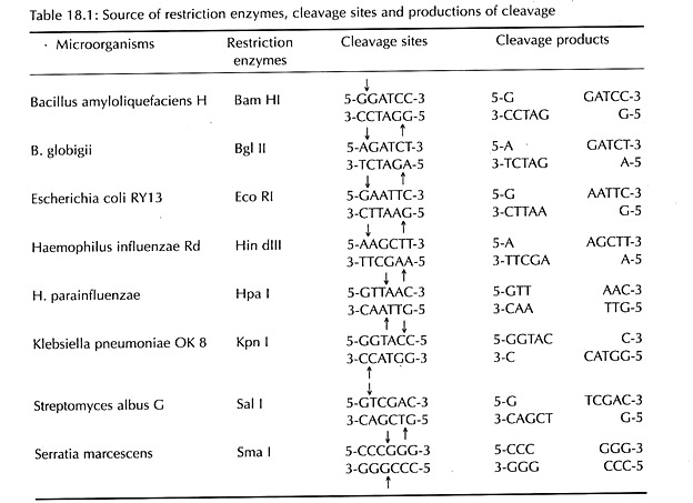 Source of Restriction Enzymes, Cleavage Sites and Productions of Cleavage