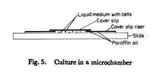 Culture in a Microchamber