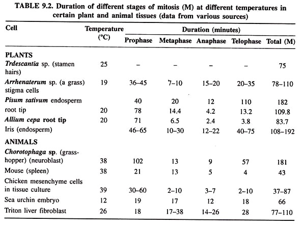 Duration of different Stages of Mitosis