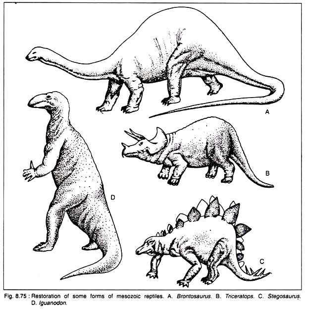 Restoration of Some Forms of Mesozoic Reptiles