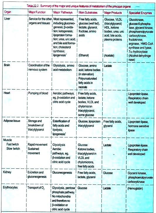 Summary of the Major and Unique Features of Metabolism of the Principal Organs