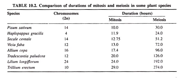 Comparison of Durations of Mitosis and Meiosis