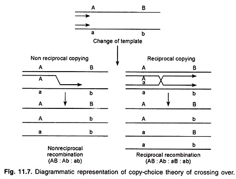 Copy-Choice Theory of Crossing Over