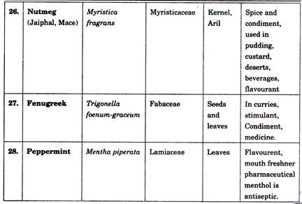 Important Spices and Condiments