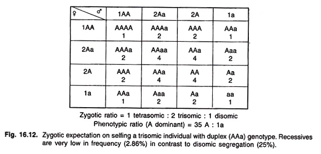 Zygotic Expectation