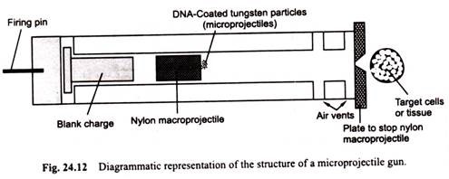 Structure of a Microprojectile Gun