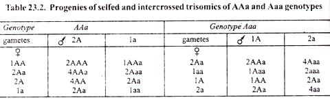 Progenies of Selfed and Intercrossed Trisomics