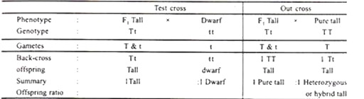 Test and Out Cross