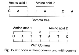 Codon Without Comma and With Comma