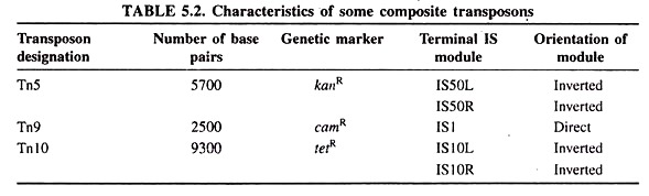 CHaracteristics of Some Composite Transposons