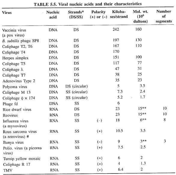 Viral Nucleic Acids and their Characteristics