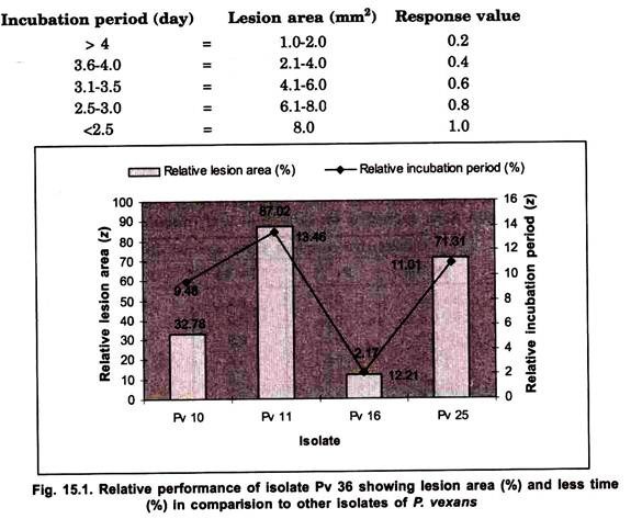 Relative Performance of Isolate