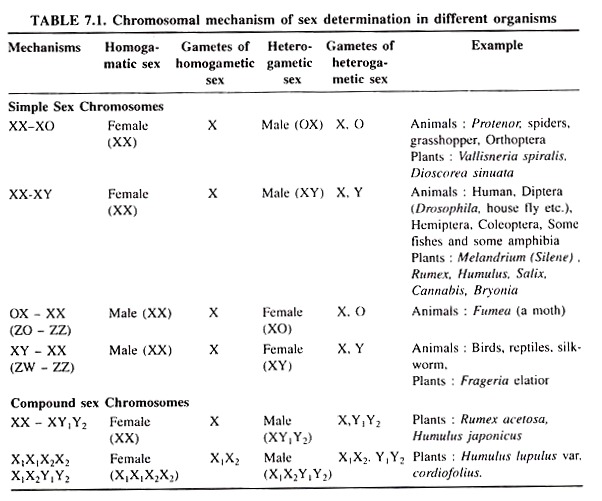 Chromosomal Mechanism of Sex Determination