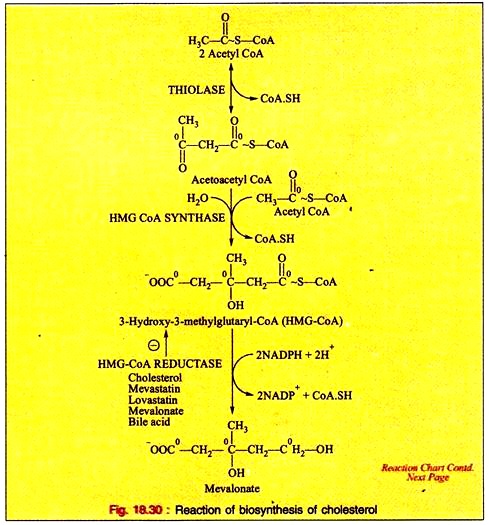 Reaction of Biosynthesis of Cholesterol