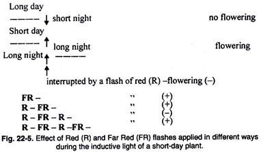 Effect of Red and Far Red