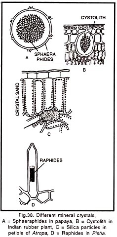 Different Mineral Crystals 