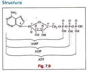 Structure