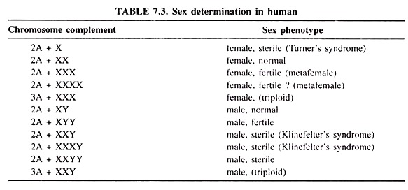 Sex Determination in Human