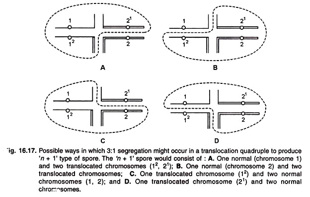 Possible Ways