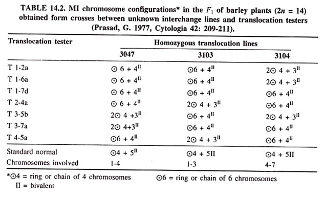 MI Chromosome Configurations