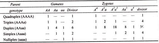 Parent, Gametes and Zygotes