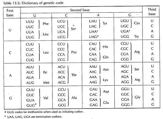 Dictionary of Genetic Code