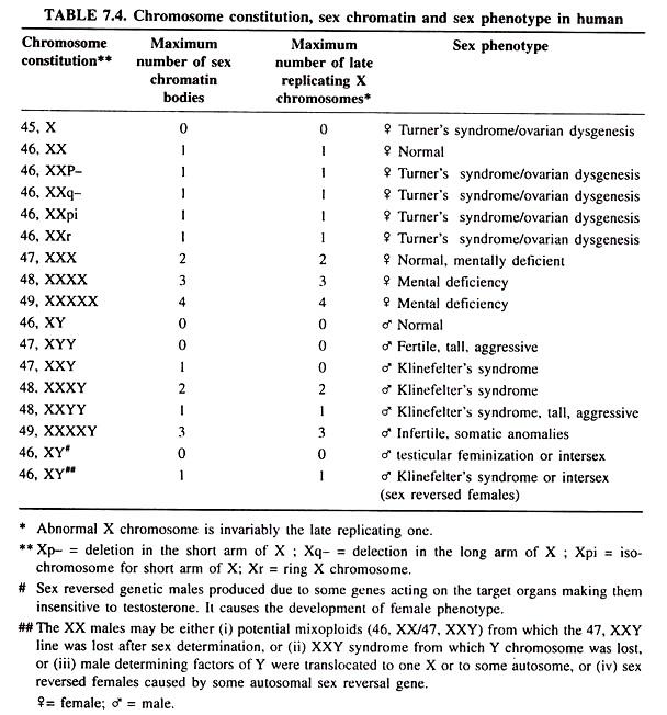 Chromosome Constitution, Sex Chromatin and Sex Phenotype in Human