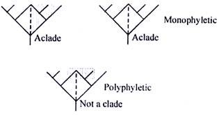 Reconstructing Phylogenetic Relationships Cladistics, Methods Proposed by W.Hennin