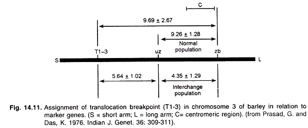 Assignment of Translocation Breakpoint