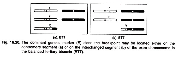 Dominant Genetic Marker