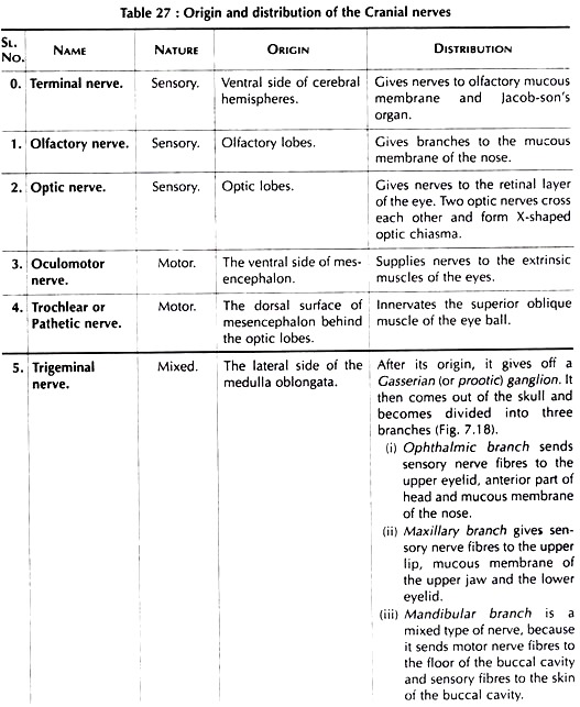 Origin and Distribution of the Cranial Nerves